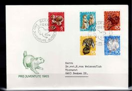 CH FDC Pro Juventute Satz 1965