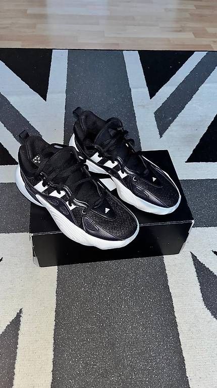 Adidas Scarpe da uomo: Chaussures de basket, Adidas performance, pointure 39,5 – Usato da le locle venduto da caryl 1