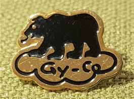 O915 - Pin Bern Berner Bär Gy-Co