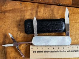Victorinox Windsor Perlmutt