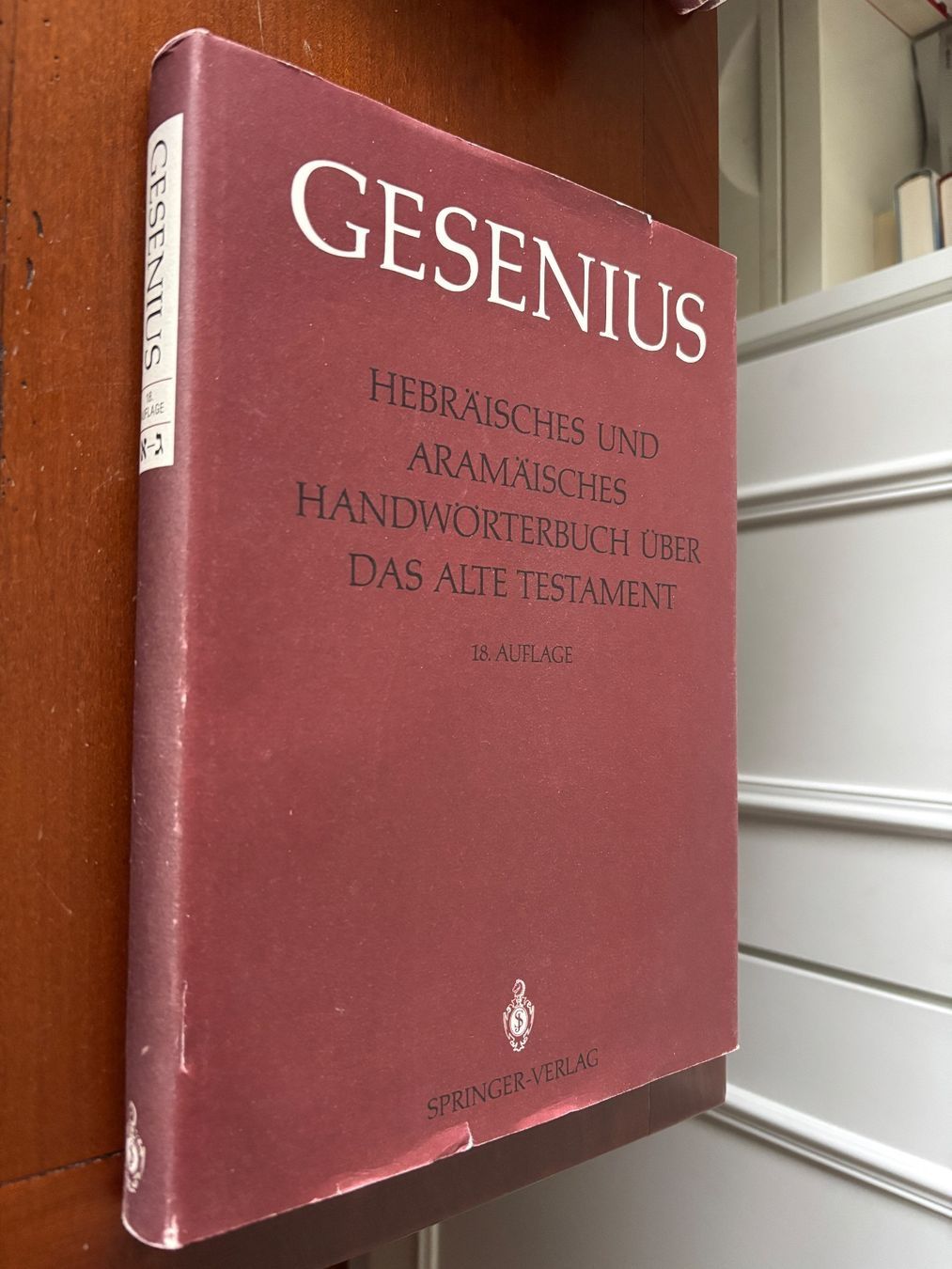 Libri: Gesenius 18. Auflage – Usato da Luzern venduto da dru_57p2