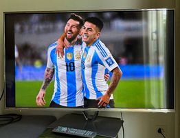Panasonic LCD TV für Fussball-WM