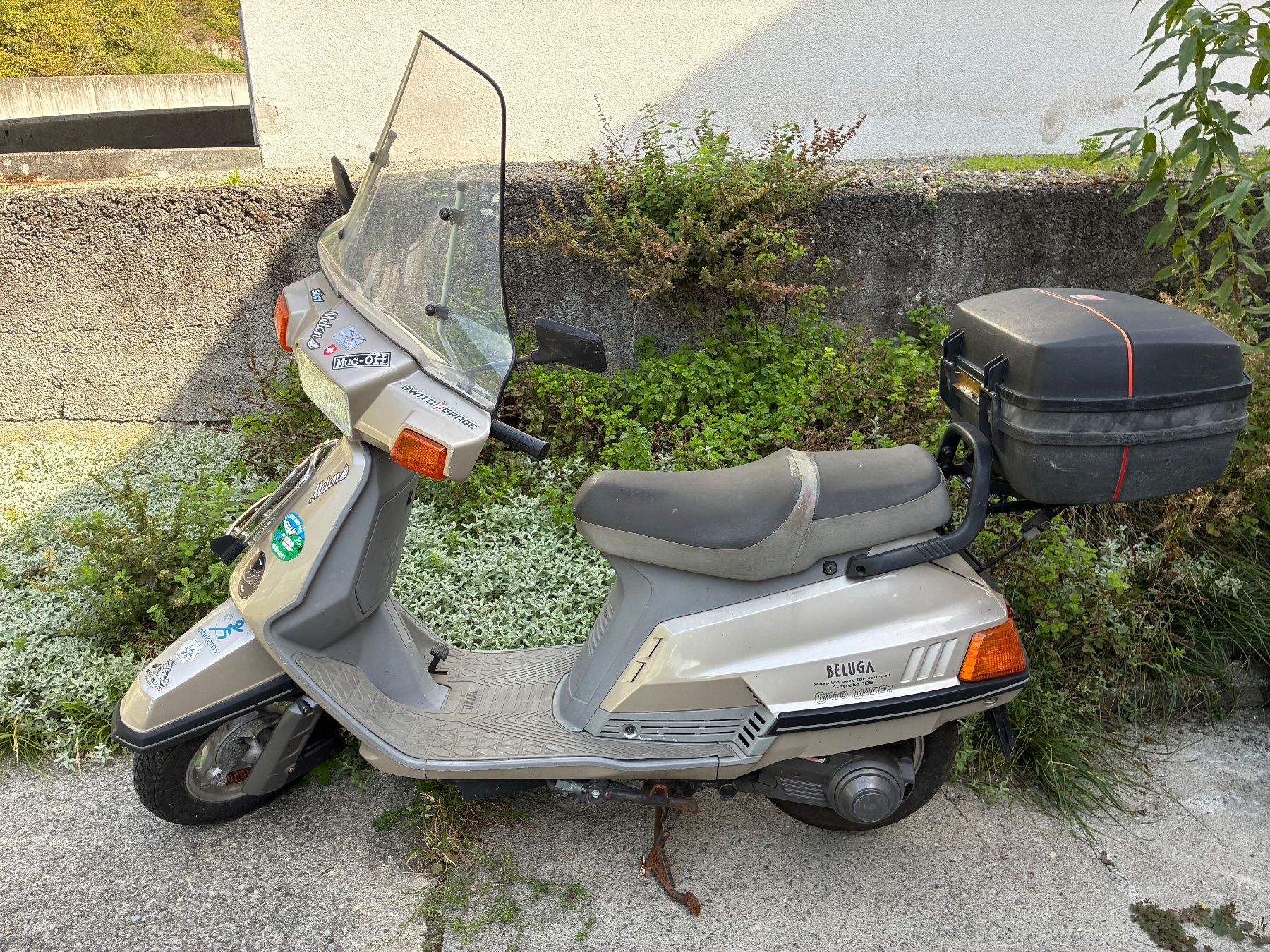 Sonstige: Yamaha Beluga – Gebraucht aus Bürglen UR von sch_rw9r 1