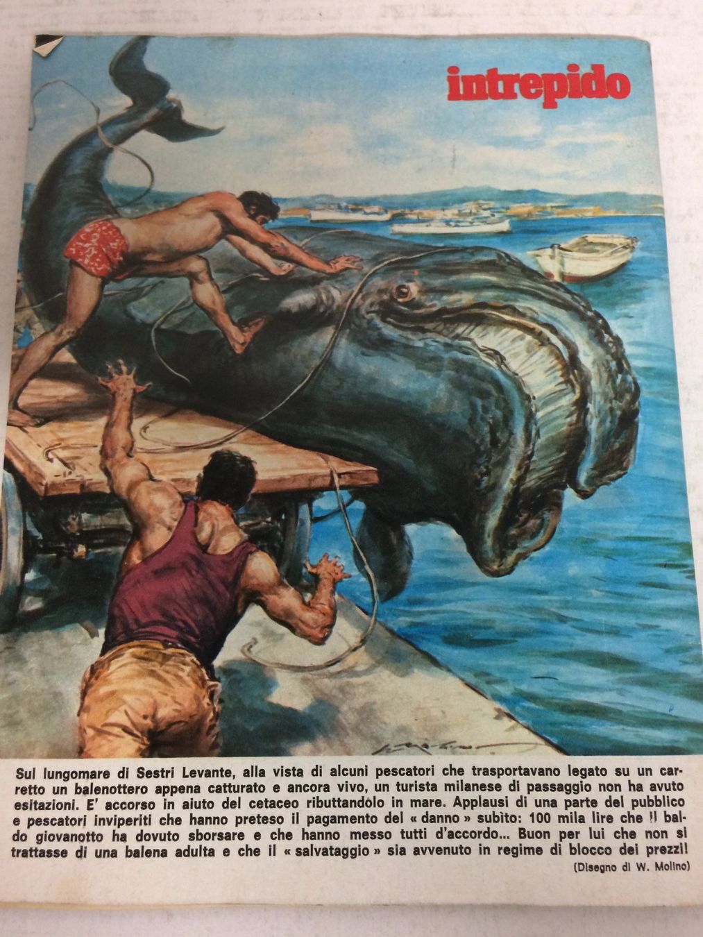 Zeitschriften & Magazine: INTREPIDO # 42 1973 FACCHETTI LOTUS RONNIE PETERSON – Gebraucht aus Vezia von Aquarius_Age 6