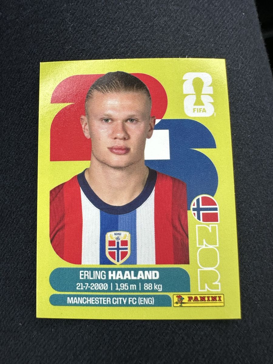 Panini Carte collezionabili: Panini Earling Haaland NOR 15 – Nuovo (secondo la descrizione) da Emmen venduto da Calabrese91