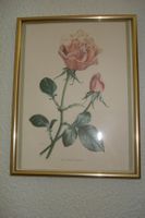 Reproduction aquarelle de 1961