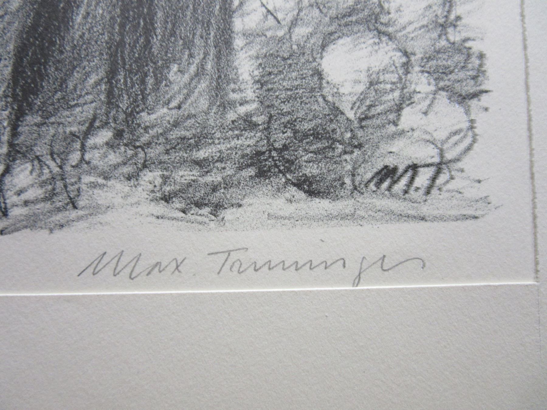 Grafica & Litografie: MAX TRUNINGER LITHOGRAPHIE SIGNIERT – Usato da Gersau venduto da kunst-online 1