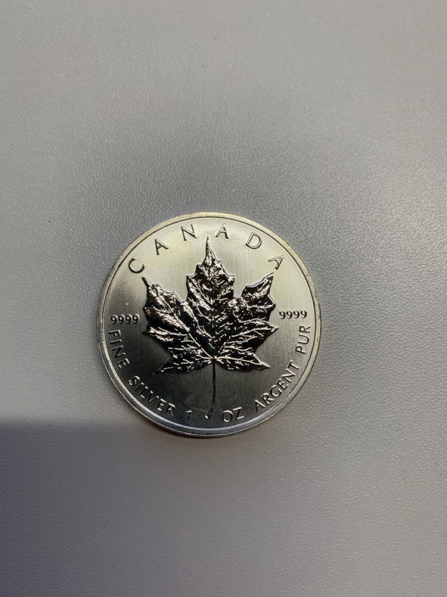 Tutti le monete: Maple Leaf 2013 Silber – Usato da Wiggen venduto da Antoniotto