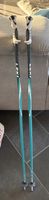 Bâtons de ski Leki, bleus, 110cm