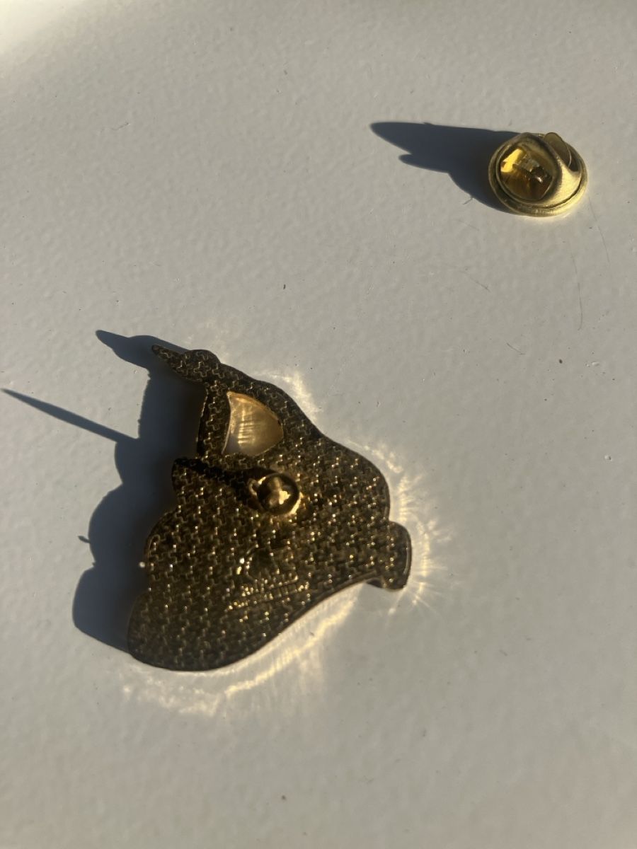 Placchette & Badge: Pin Pllla Röhrli Gugga – Usato da Eschlikon TG venduto da Urs.knopf 1