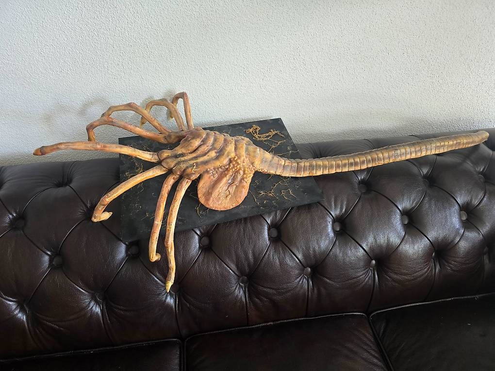 Figuren: Alien Facehugger Lifesize – Gebraucht aus Ermenswil von Ingram0 1