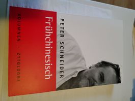 Frühchinesisch Buch