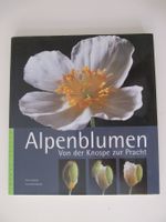ALPENBLUMEN Von der Knospe zur Pracht