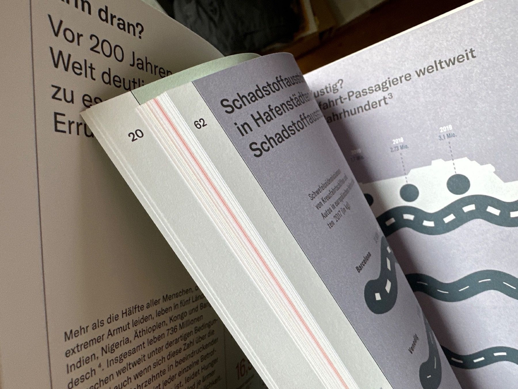 Libri: What the Fact!? – Usato da Hettlingen venduto da Nonnenhase 2