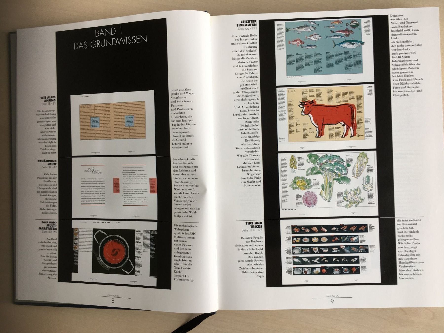 Libri: Die Kunst des gesunden geniessens – Usato da Uetendorf venduto da Florabella01 2