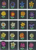 KRD Blumen 1992/ 320 Cremo