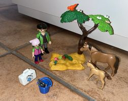 Playmobile - Pony und Fohlen