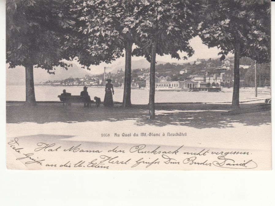 Cartoline postali: Neuchâtel 1909 – Usato da Bürglen TG venduto da StampGraf