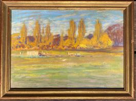 Paysage lumineux.