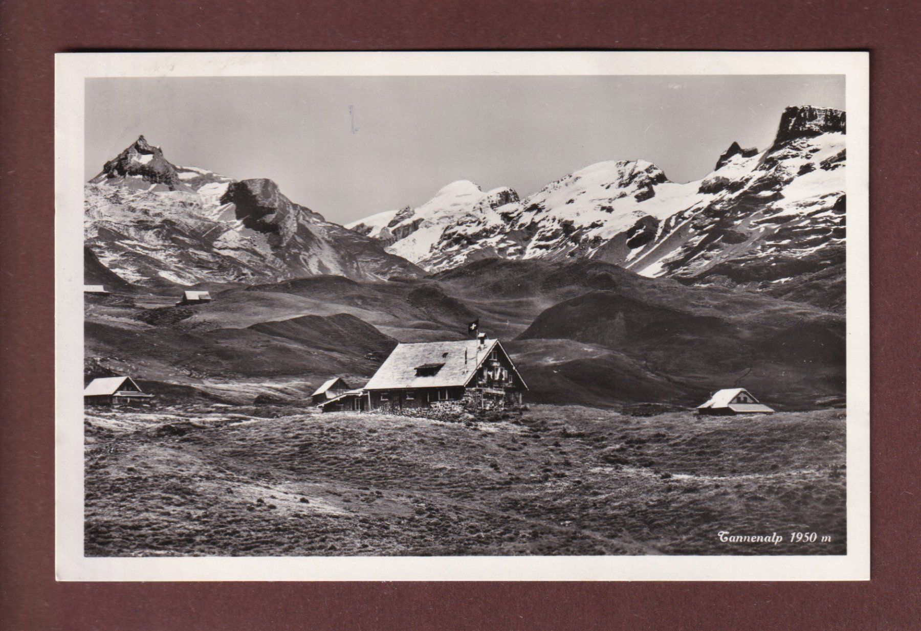 Ansichtskarten: TANNENALP - 1935 – Gebraucht aus Pully von nicecards-shop