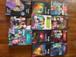 Die drei !!! Buchpaket 11 Stück