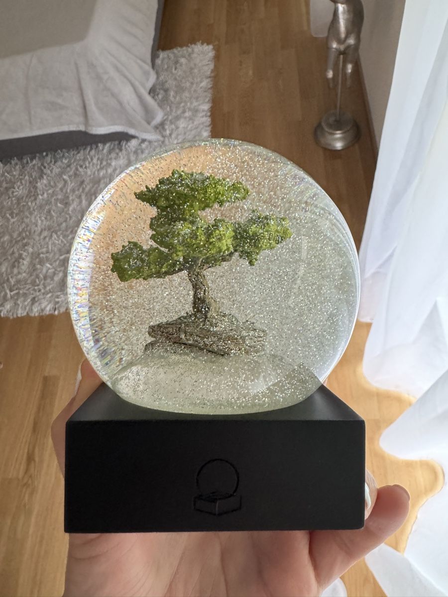 Tutte le decorazioni: Schneekugel Bonsai Baum CoolSnowGlobes – Nuovo (secondo la descrizione) da Luzern venduto da file_maker 4