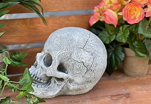 Skulpturen & Statuen: Gartenskulptur Gartenfigur Schädel crâne sculpture – Neu und originalverpackt aus Lopagno von CLep 4