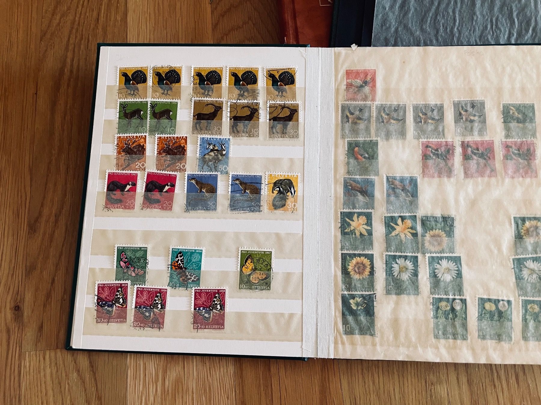Album: Briefmarken Sammlung – Usato da Laupen BE venduto da Jonasbolinger 1