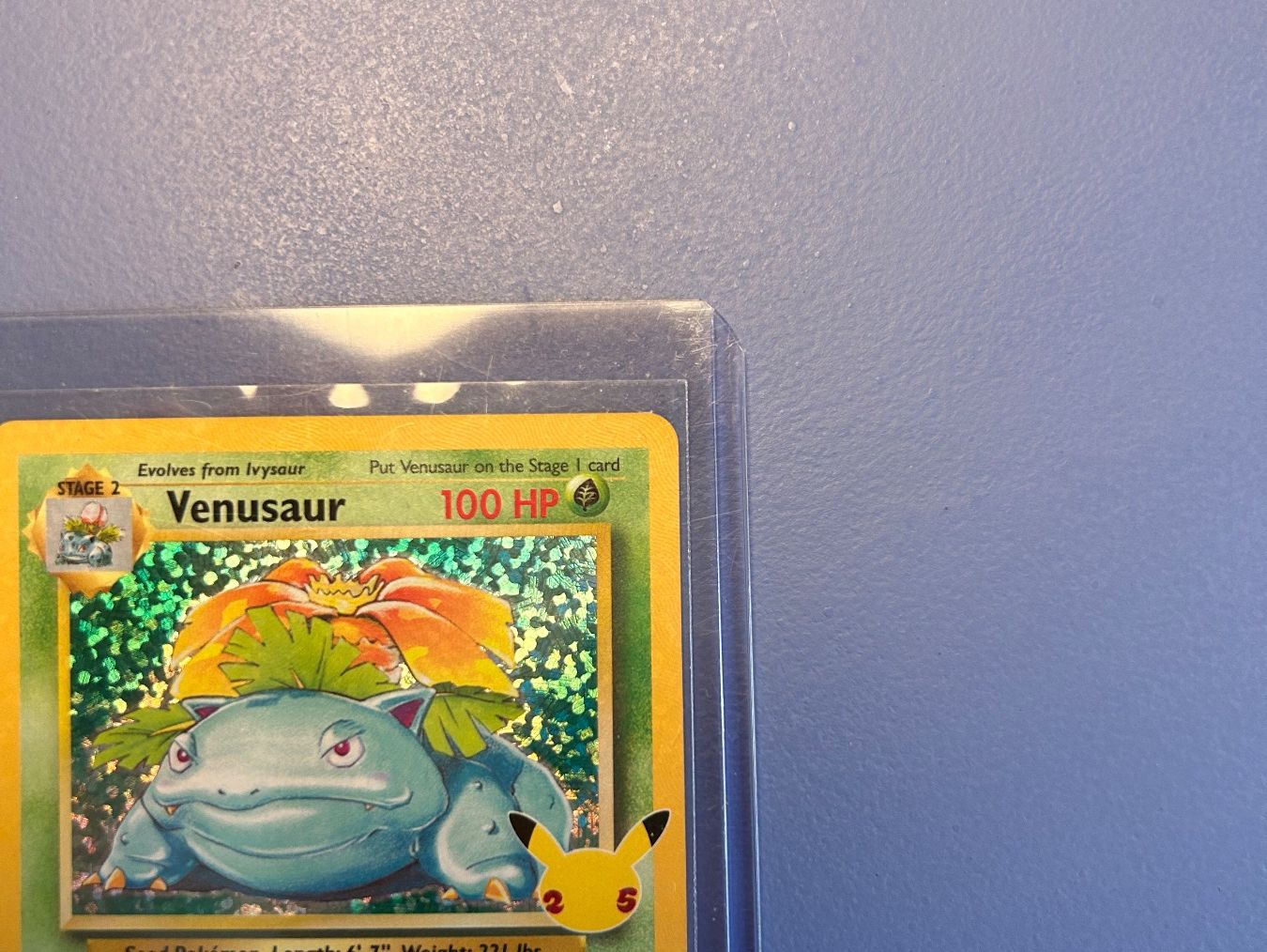 Pokémon Carte collezionabili: Venusaur Holo Celebration 25 Years – Usato da Schlieren venduto da happymerchant64 2