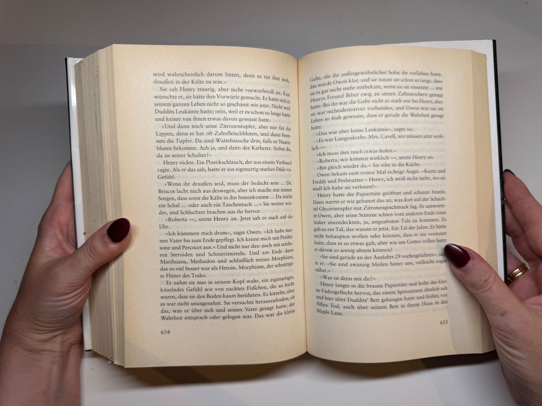 Libri: ROMAN: Stephen King, Duddits, Dreamcatcher – Usato da Grosswangen venduto da Deutsche_Romane 7