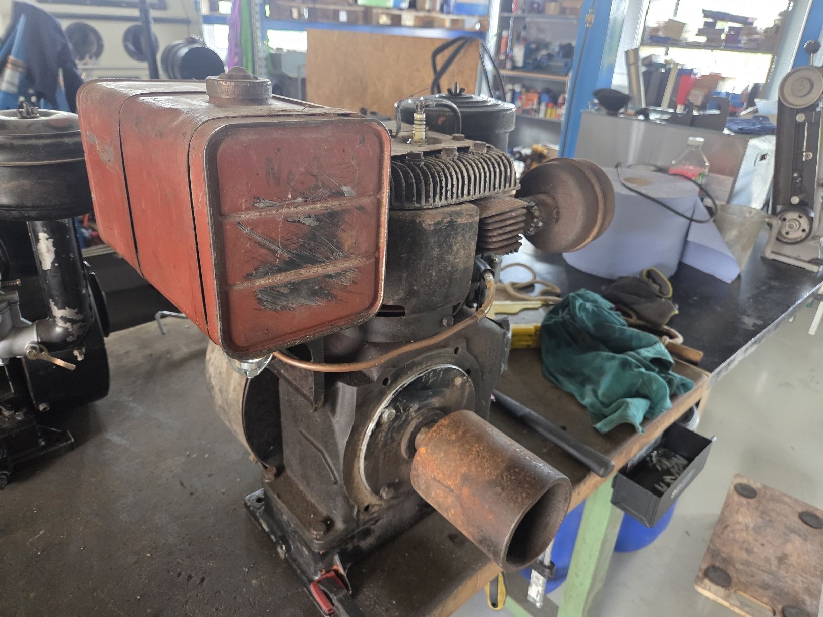 Motori: Briggs & Stratton Model 24 10HP – Usato da Böbikon venduto da Domplex 2
