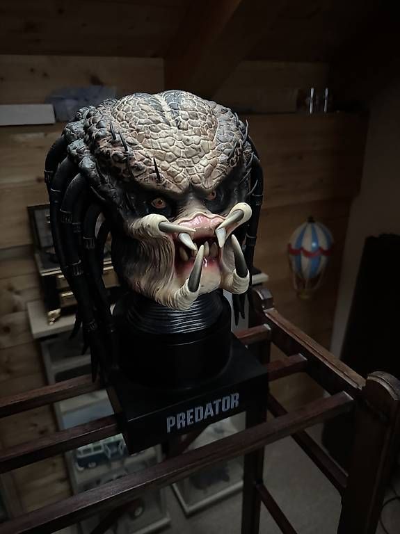 Statuette: Predator Lifesize Büste ? mit Maske / Helm ? Sammlerstück – Usato da Möriken AG venduto da nma_2hx5 2