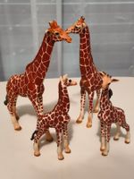 Schleich Giraffen Set – 2 Erwachsene + 2 Jungtiere