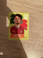Panini POR 14
