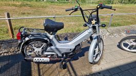Topos Quadro