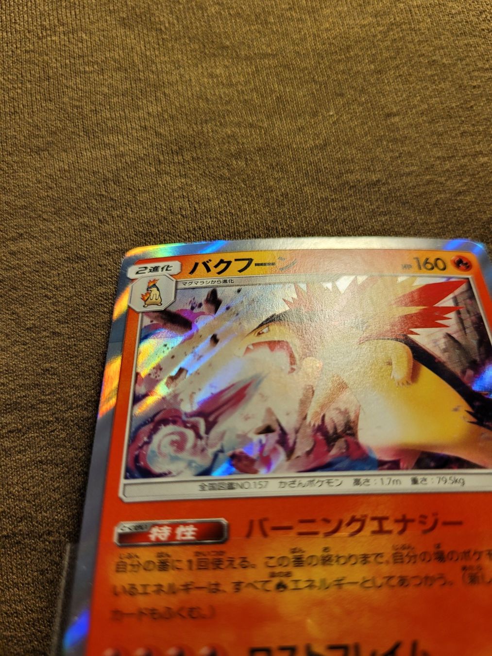Pokémon Carte collezionabili: Typhlosion 19/95 (JP) Holo – Usato da Grindelwald venduto da lego9 3