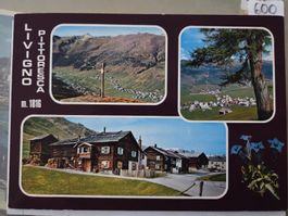 Ansichtskarte Livigno Pittaresca Italien