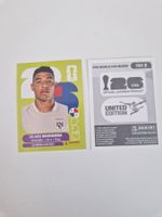 Panini Sticker PAN2