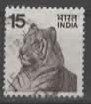 INDIA : TIGER   (19