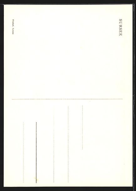Cartoline postali: AK Sursee, Gasthausschild – Usato da Berlin venduto da bartko-reher 1