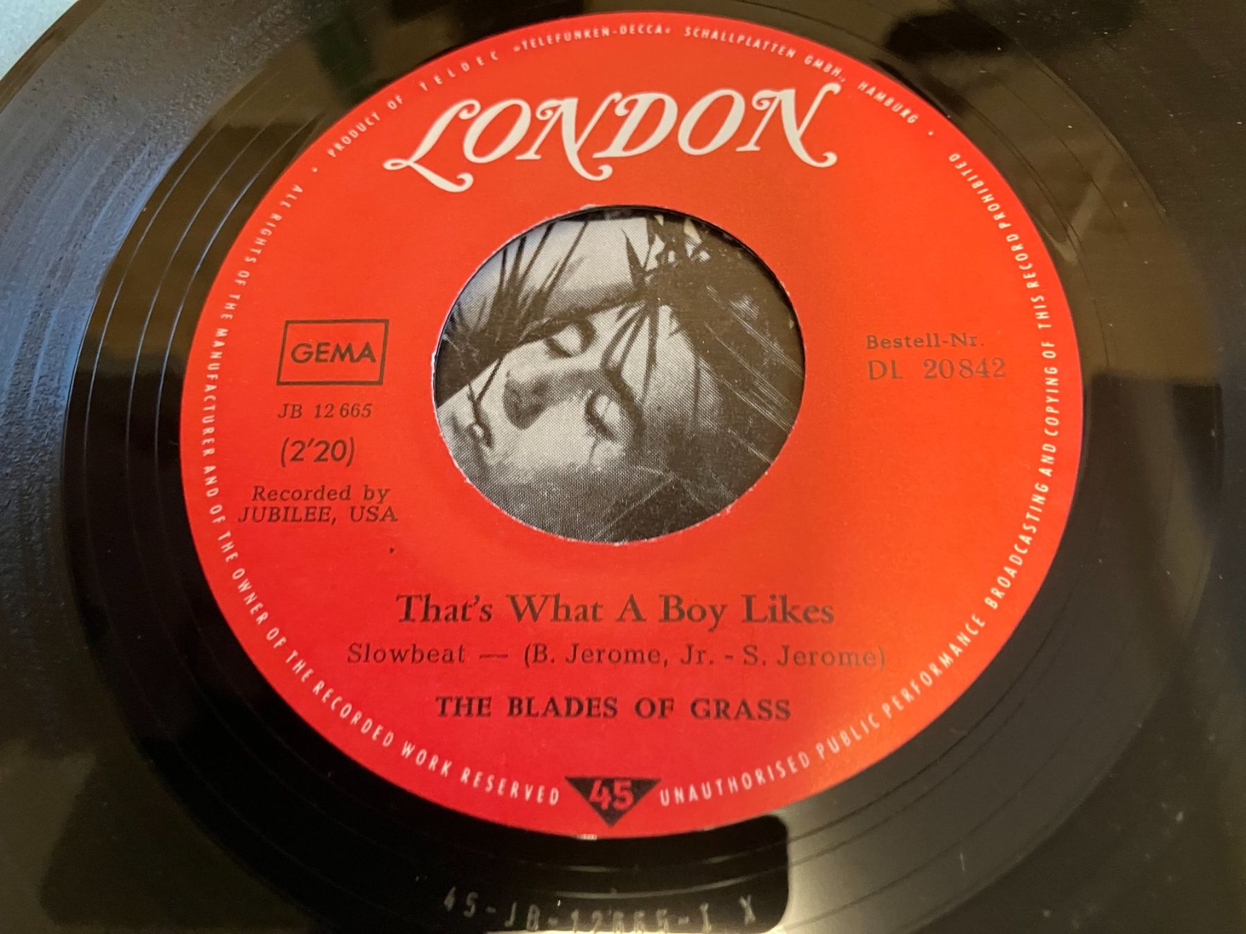 Dischi in vinile: The Blades Of Grass – Usato da Aarwangen venduto da Jukebox3 5