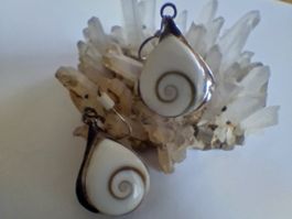 EDLE SHIVA- MUSCHEL  OHRRINGE IN SILBER 925 OPERCULUM