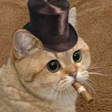 Profile image of Reak