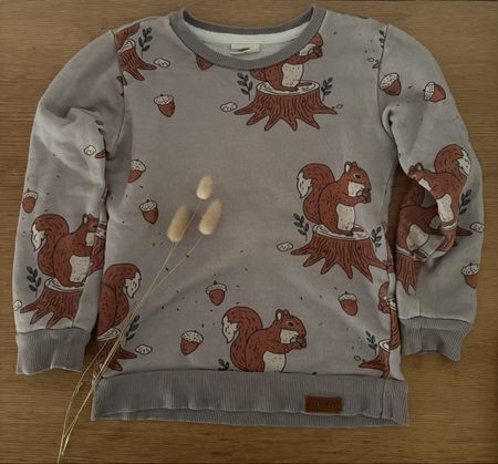 🐿️ Eichhörnchen Pulli Junge Walkiddy 104 cm