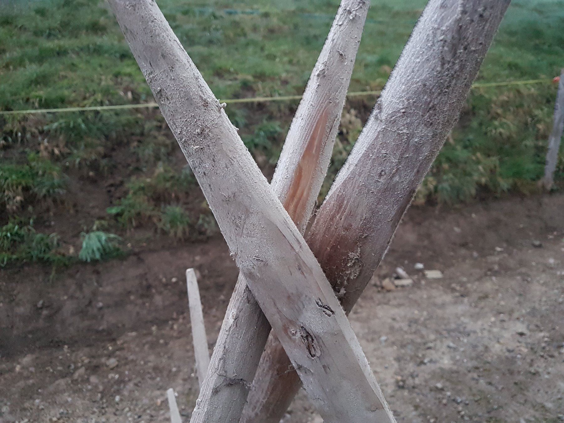 Altro in Utensili da giardino: Heinze – Usato da Dietschwil venduto da FIZENATOR 2