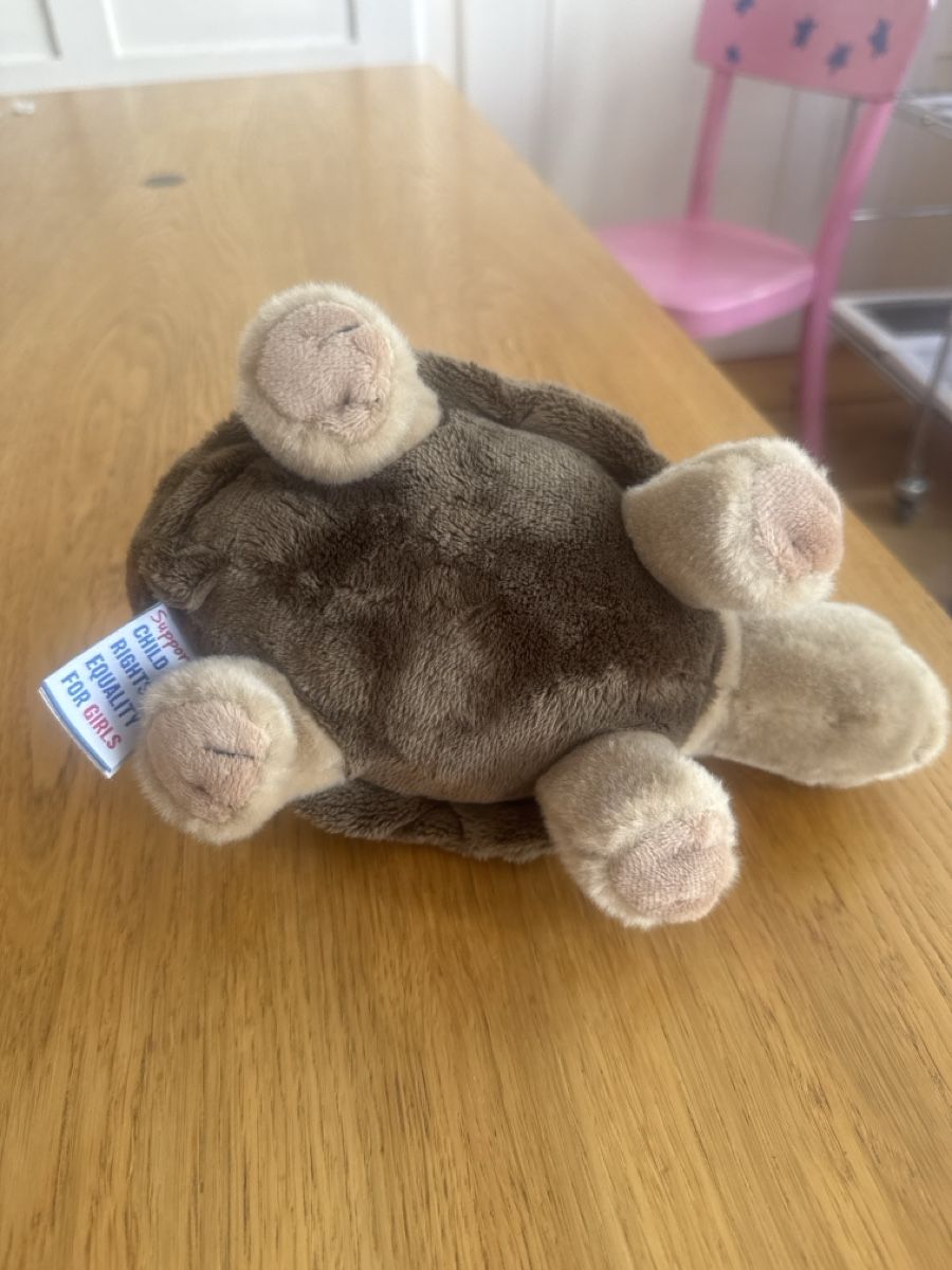 Giocattoli: Stofftier Schildkröte braun Plüssch – Usato da Zuerich venduto da Rufab 2
