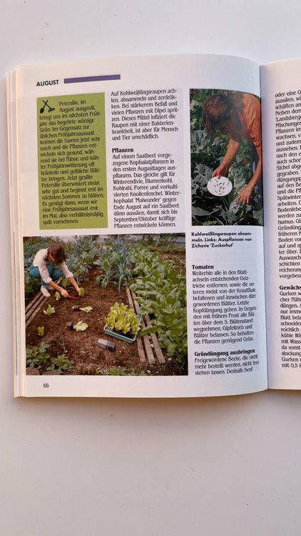 Gartenarbeit rund ums Jahr Gärtnern leicht und richtig Kaufen auf