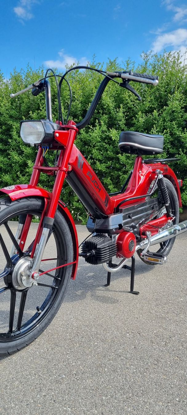 Puch Cyclomoteurs: Puch Maxi S Candy Rot – D'occasion à Weinfelden par Vwaudi90