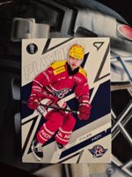 Tyler Moy Rapperswil Jona Playoffs 2025/26 Sportzoo