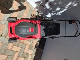Elektro Rasenmäher